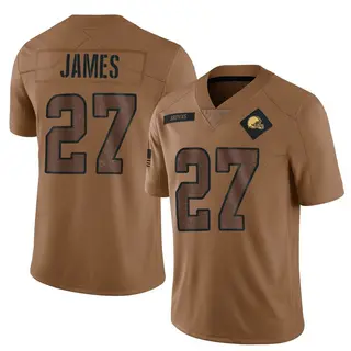 Cleveland Browns Youth LaMareon James Limited 2023 Salute To Service Jersey - Brown